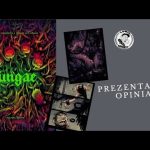 Fungae - #559 Prezentacja i opinia
